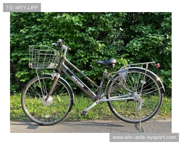 2026年电助力自行车：值得买吗？品牌推荐，国内最好的电助力自行车品牌